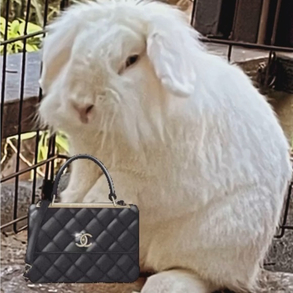 Meet your Posher, Melanie - Picture 7 of 8